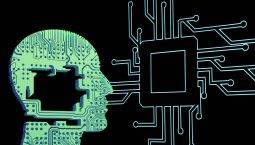 the-future-of-ceos